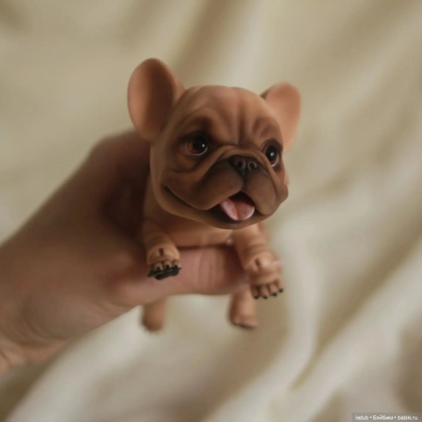 Хорошо забытое старое. Французский бульдог (фото 5)