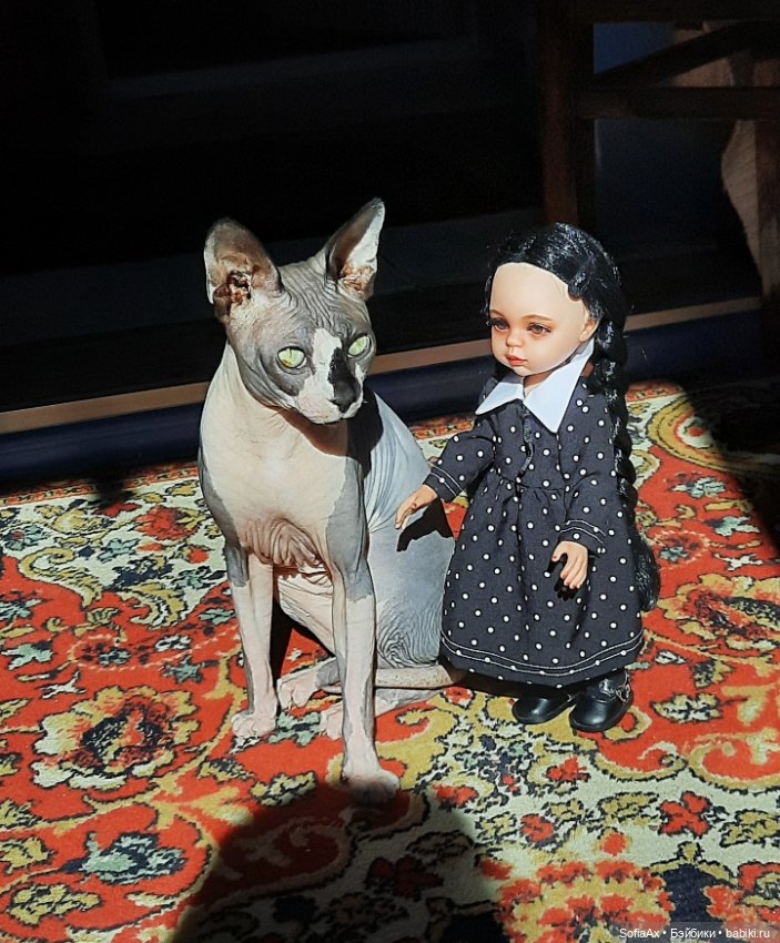 Маленькая путешественница Уинсдей