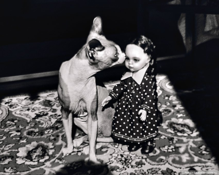 Маленькая путешественница Уинсдей