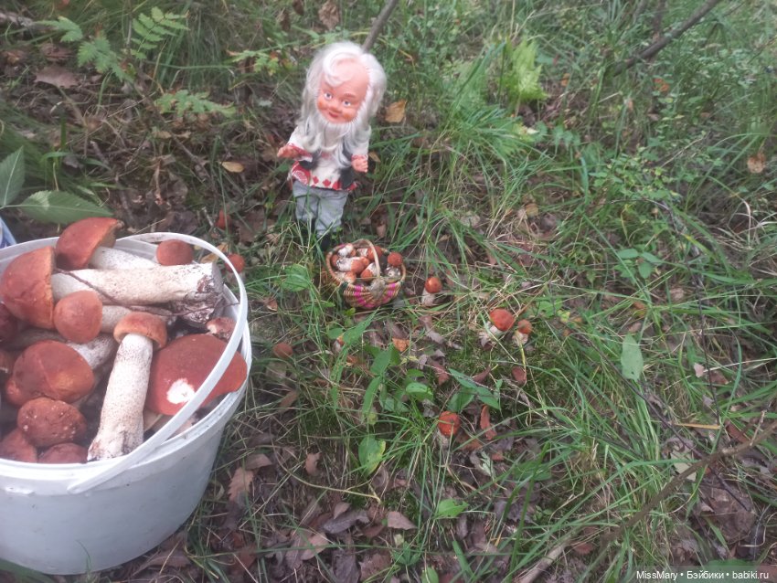 Весёлые картинки. Как Петрович по грибы ходил