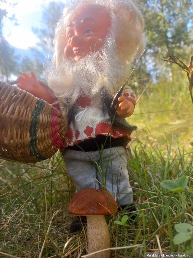 Весёлые картинки. Как Петрович по грибы ходил (фото 2)