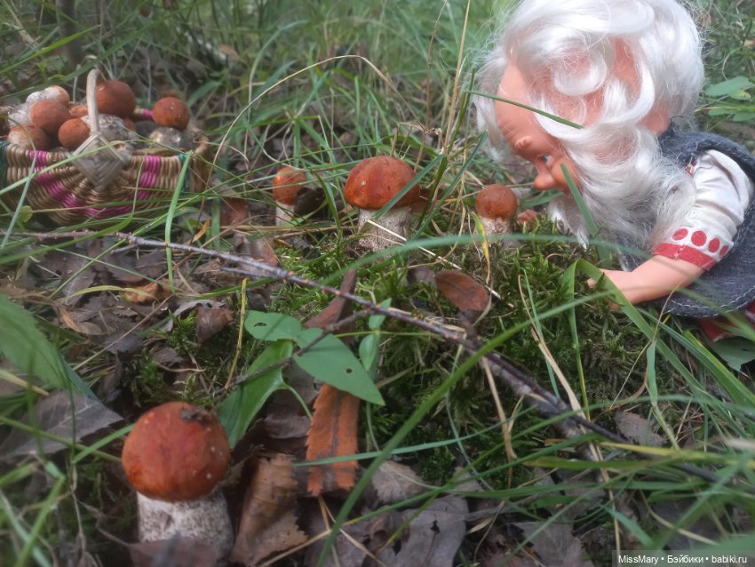 Весёлые картинки. Как Петрович по грибы ходил (фото 10)