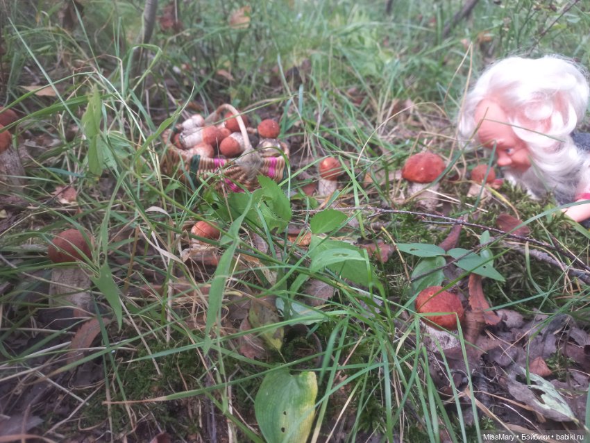 Весёлые картинки. Как Петрович по грибы ходил