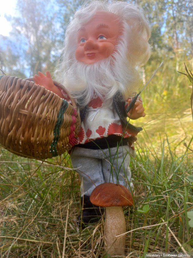 Весёлые картинки. Как Петрович по грибы ходил (фото 4)