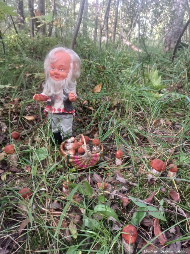 Весёлые картинки. Как Петрович по грибы ходил (фото 8)