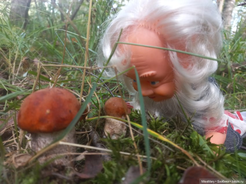 Весёлые картинки. Как Петрович по грибы ходил