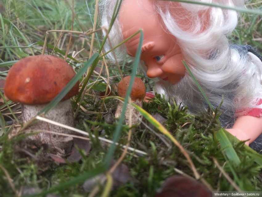 Весёлые картинки. Как Петрович по грибы ходил (фото 9)