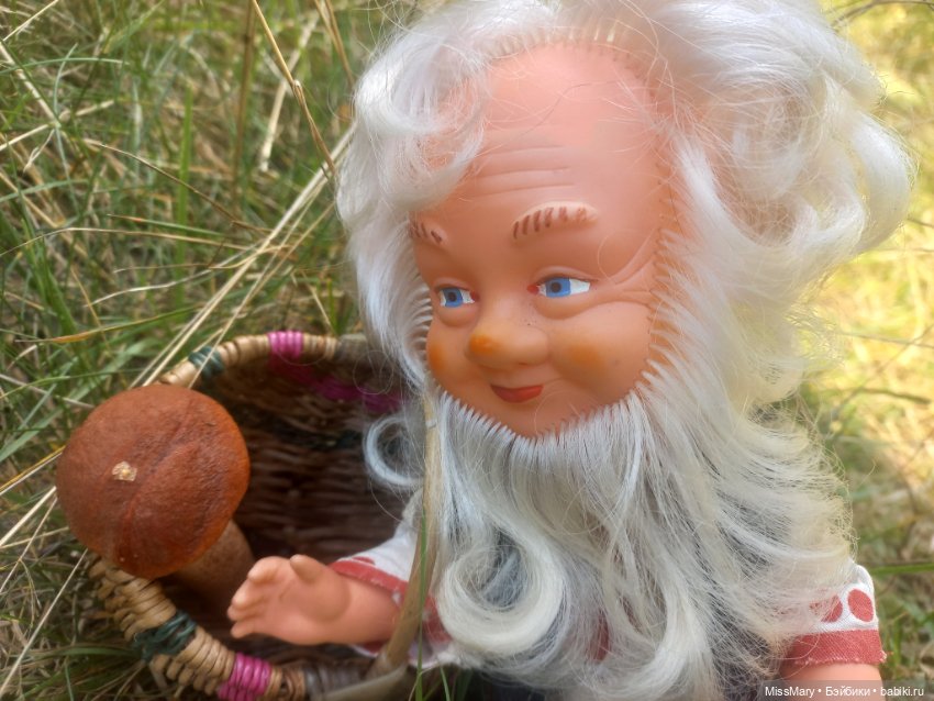 Весёлые картинки. Как Петрович по грибы ходил (фото 7)