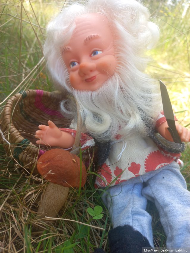 Весёлые картинки. Как Петрович по грибы ходил (фото 5)