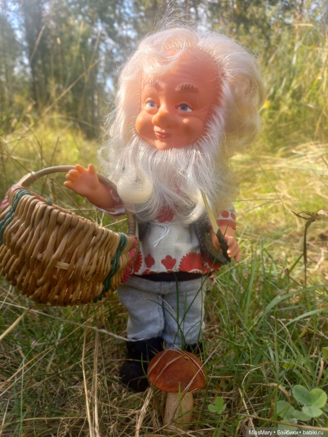 Весёлые картинки. Как Петрович по грибы ходил