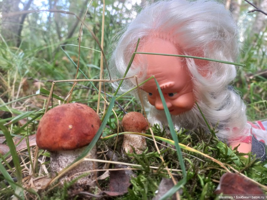 Весёлые картинки. Как Петрович по грибы ходил