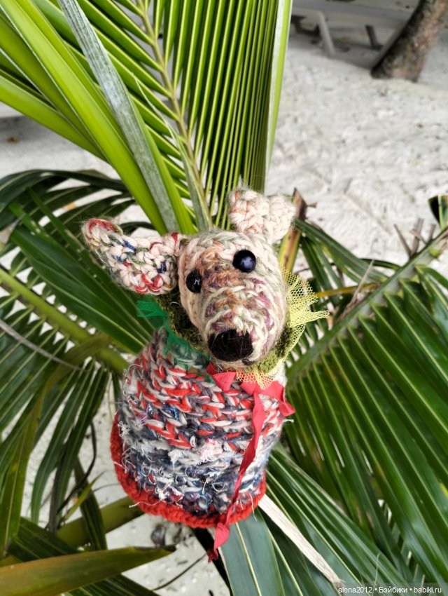 О том, как мы с собачкой стали контрабандистками