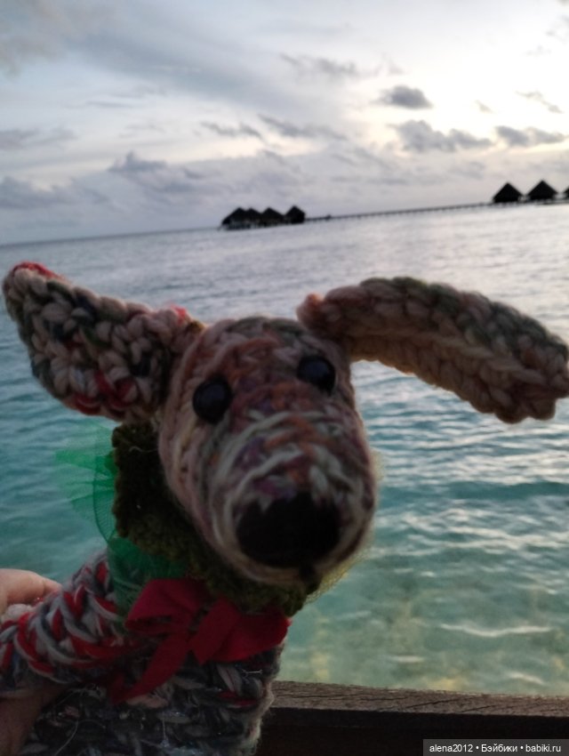 О том, как мы с собачкой стали контрабандистками (фото 4)