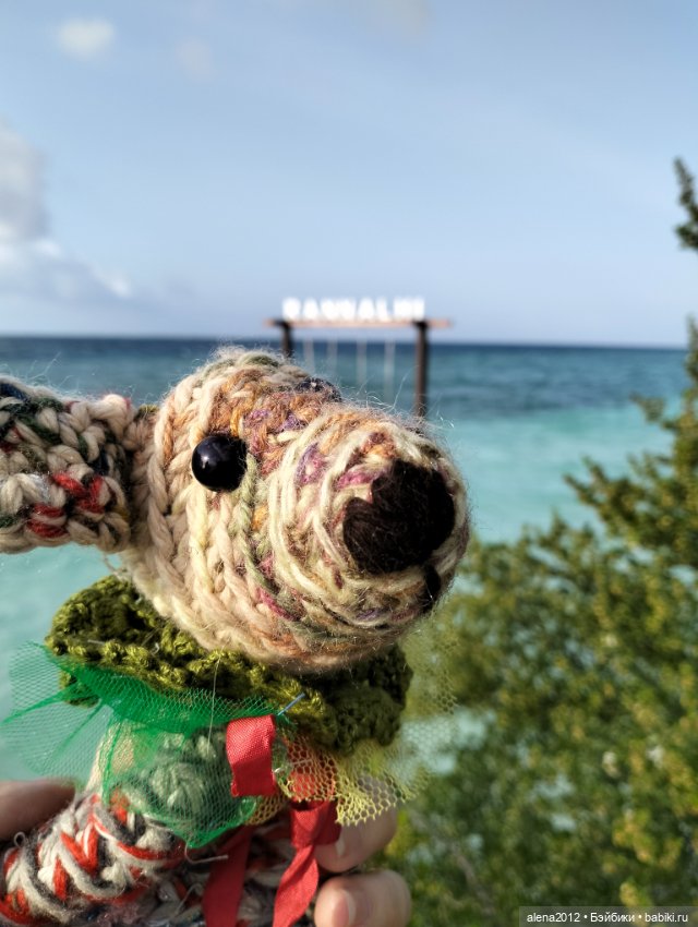 О том, как мы с собачкой стали контрабандистками