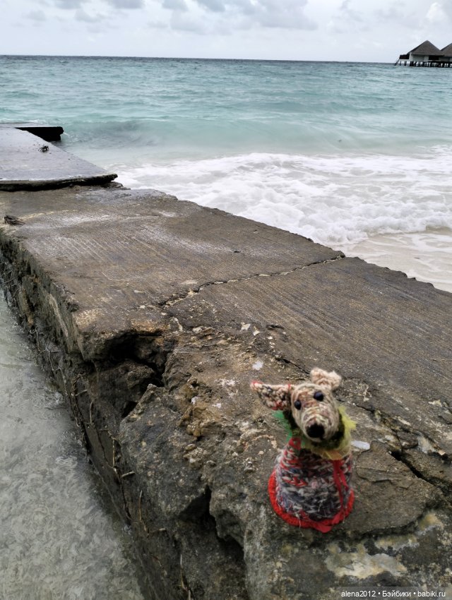 О том, как мы с собачкой стали контрабандистками