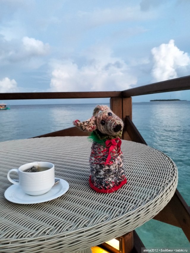 О том, как мы с собачкой стали контрабандистками (фото 3)