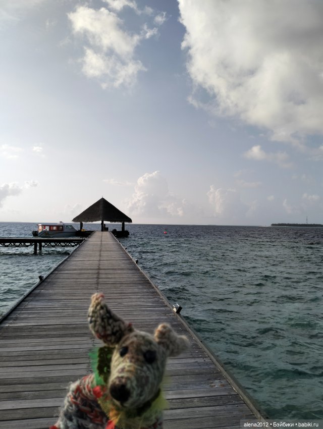 О том, как мы с собачкой стали контрабандистками