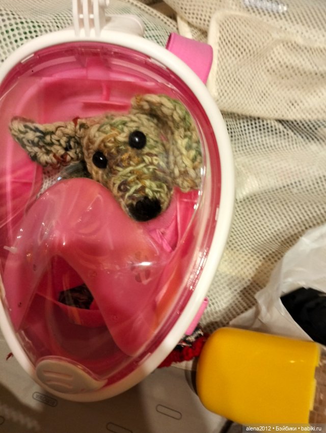 О том, как мы с собачкой стали контрабандистками