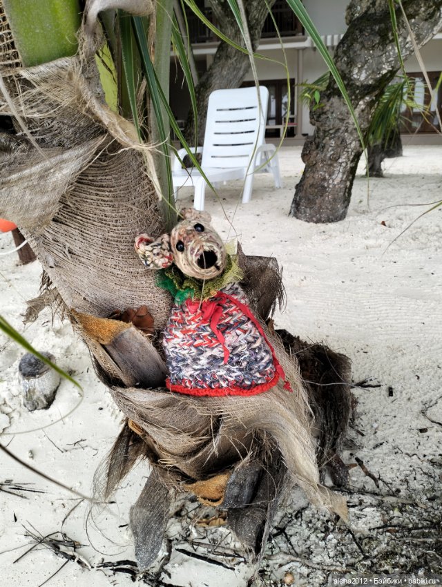 О том, как мы с собачкой стали контрабандистками