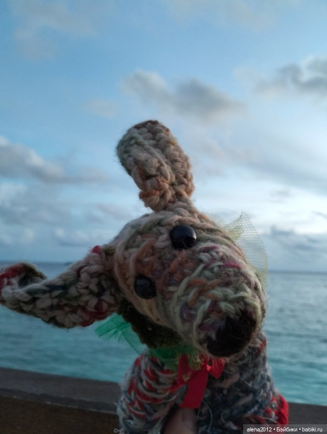 О том, как мы с собачкой стали контрабандистками (фото 5)