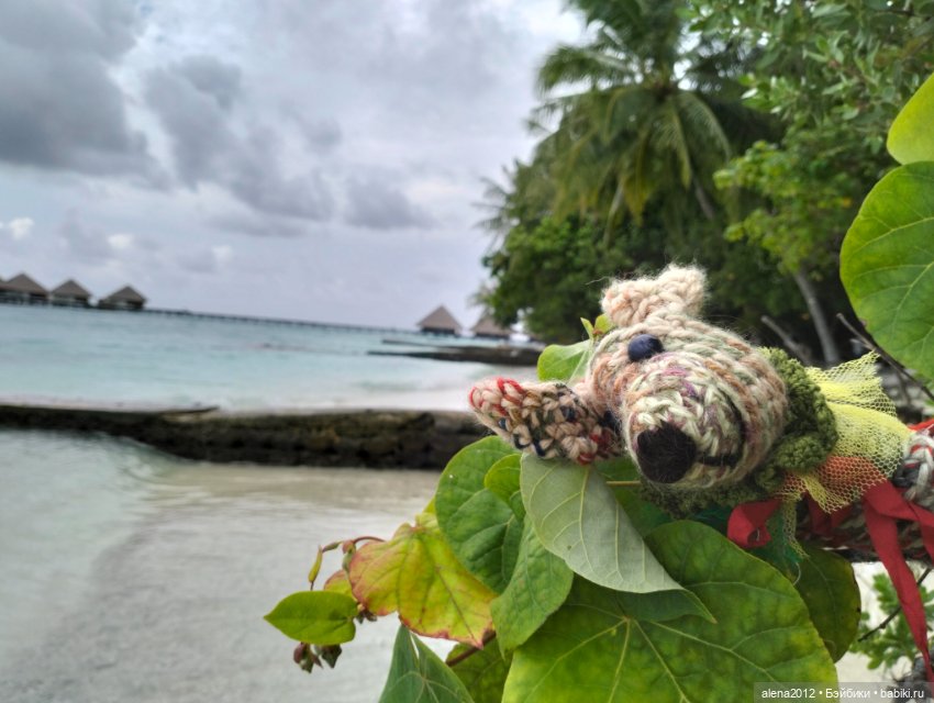 О том, как мы с собачкой стали контрабандистками