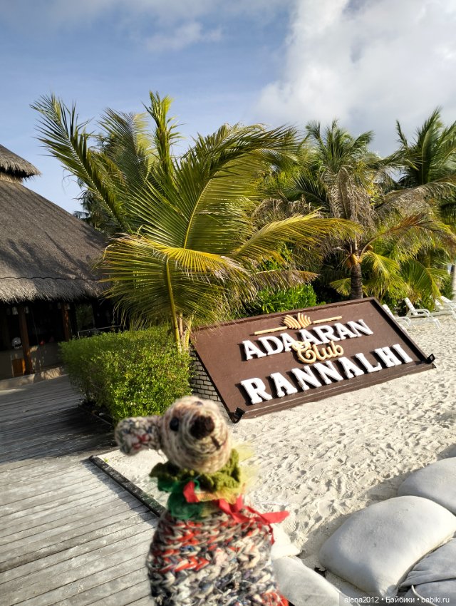 О том, как мы с собачкой стали контрабандистками