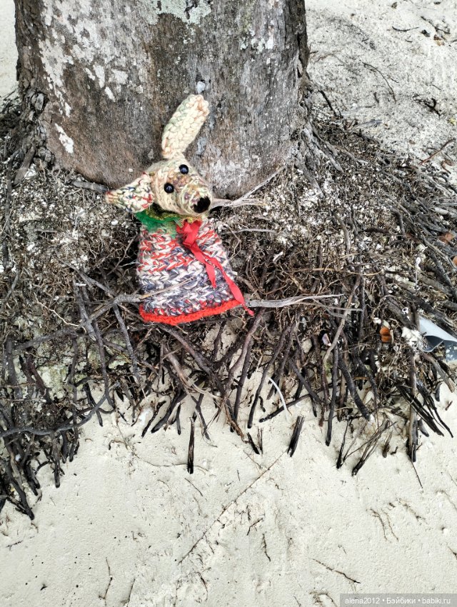 О том, как мы с собачкой стали контрабандистками