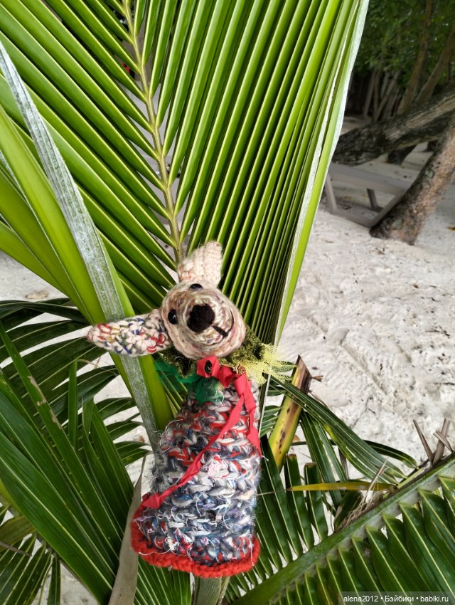 О том, как мы с собачкой стали контрабандистками