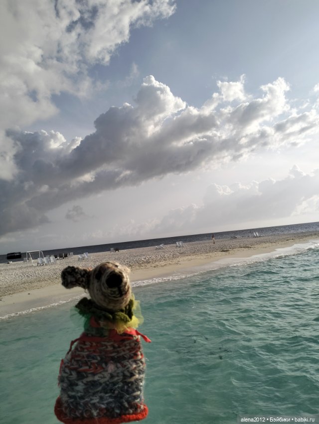 О том, как мы с собачкой стали контрабандистками