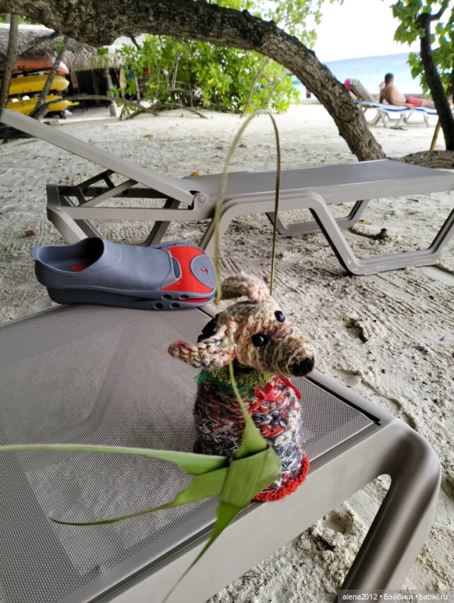 О том, как мы с собачкой стали контрабандистками (фото 9)