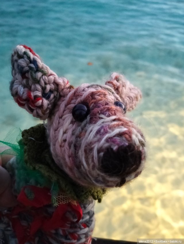 О том, как мы с собачкой стали контрабандистками (фото 7)