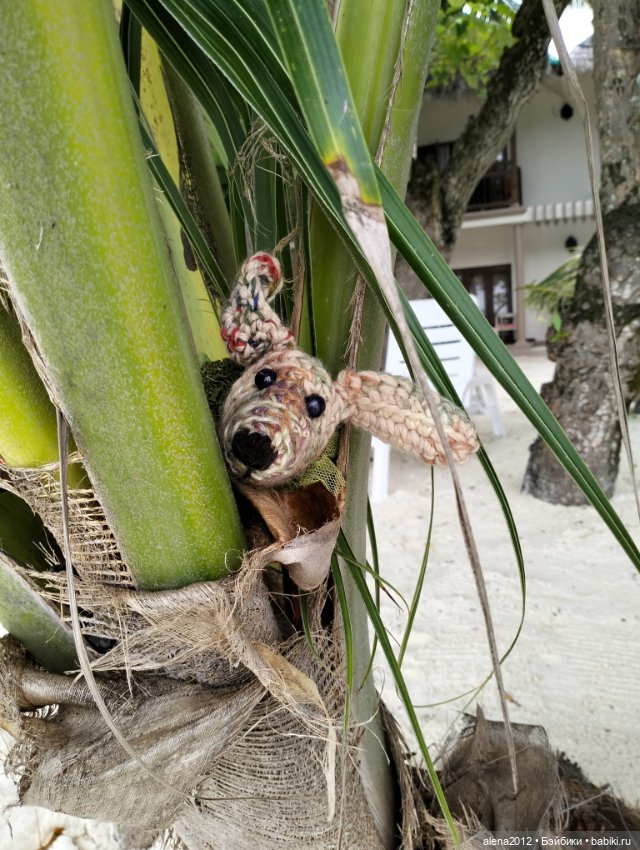 О том, как мы с собачкой стали контрабандистками