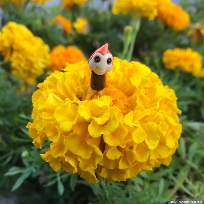 Букашка Noi — Фигурки Studio (фото 2)