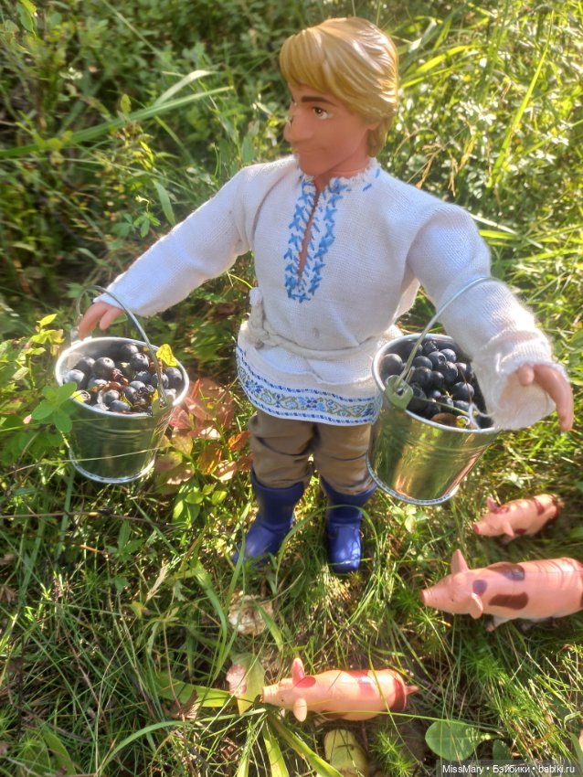 Как Иван за черникой ходил (фото 10)