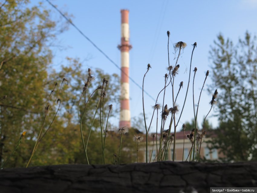 Новенькая - кукла от русского блогера (фото 9)