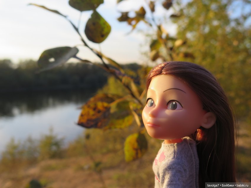 Новенькая - кукла от русского блогера