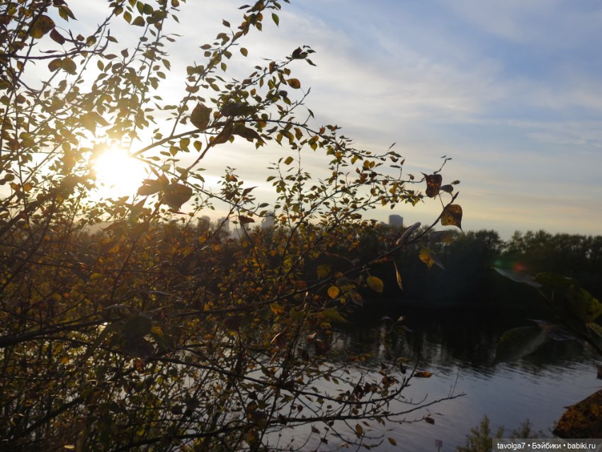 Новенькая - кукла от русского блогера