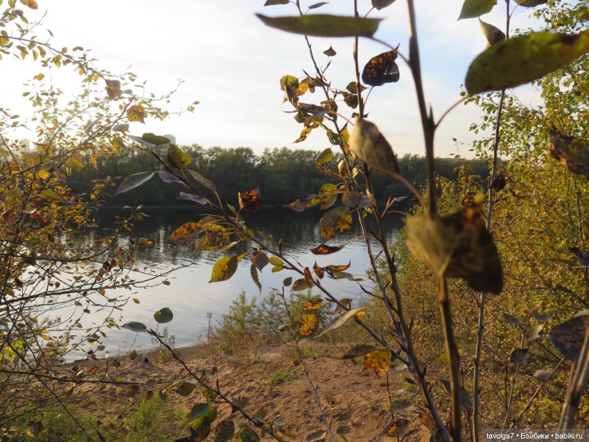 Новенькая - кукла от русского блогера
