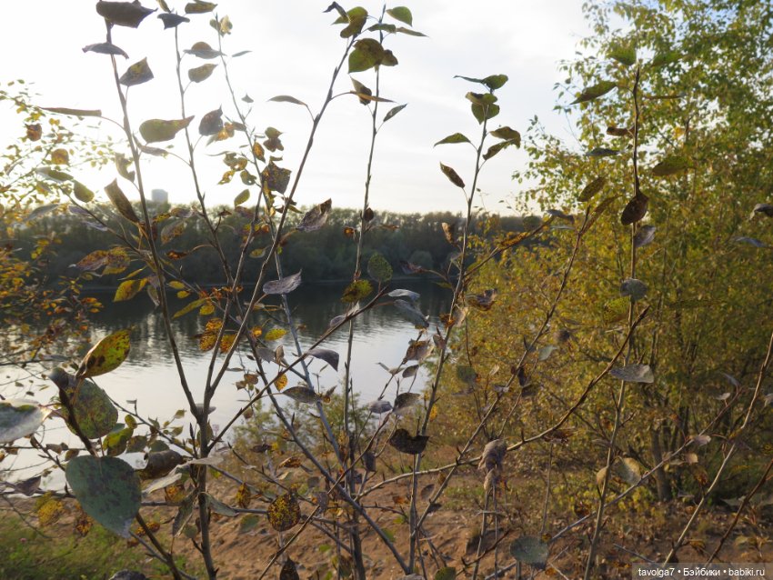 Новенькая - кукла от русского блогера