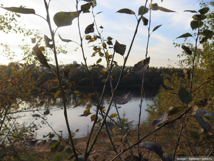 Новенькая - кукла от русского блогера