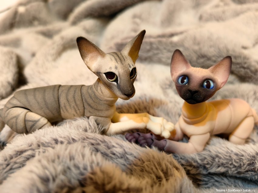 Любовь, кусь и котики — Домашние фото авторских кукол: личные коллекции