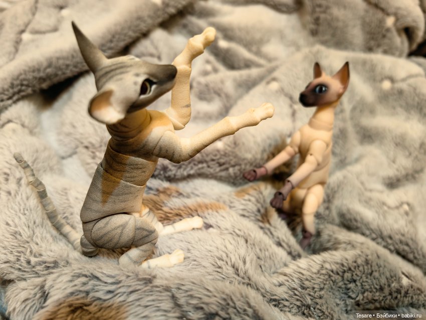 Любовь, кусь и котики — Домашние фото авторских кукол: личные коллекции