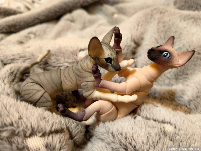 Любовь, кусь и котики — Домашние фото авторских кукол: личные коллекции