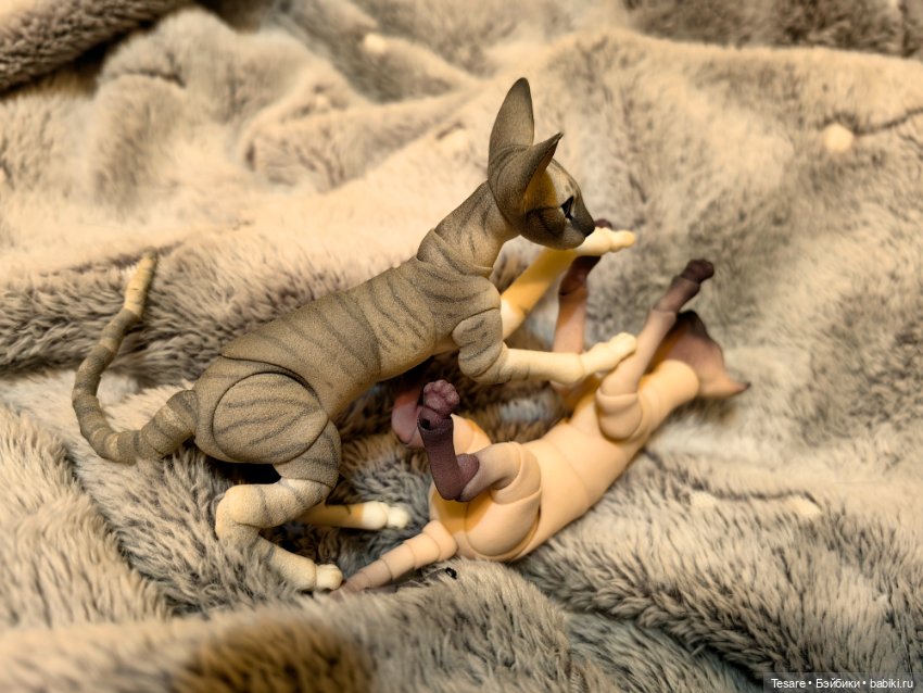 Любовь, кусь и котики — Домашние фото авторских кукол: личные коллекции