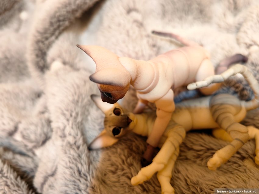 Любовь, кусь и котики — Домашние фото авторских кукол: личные коллекции (фото 5)