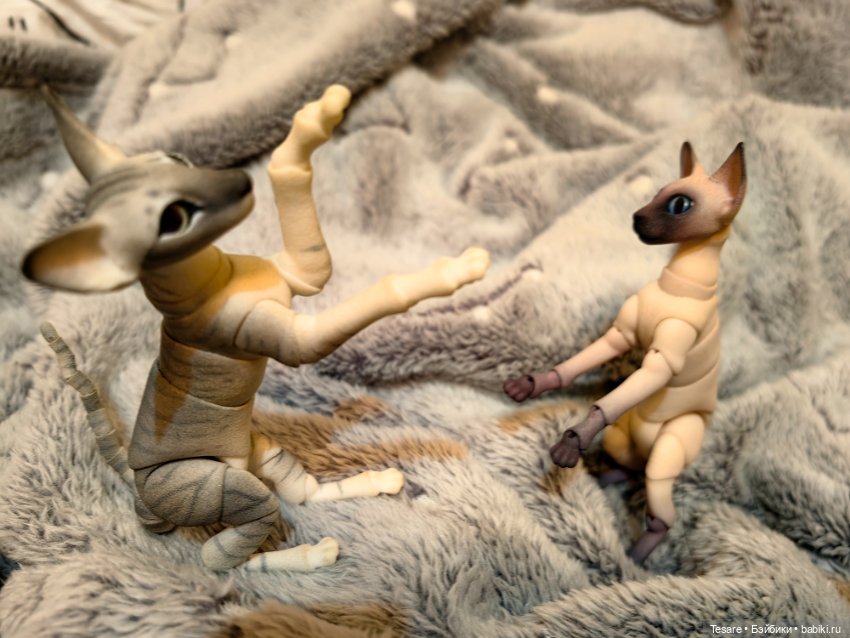 Любовь, кусь и котики — Домашние фото авторских кукол: личные коллекции