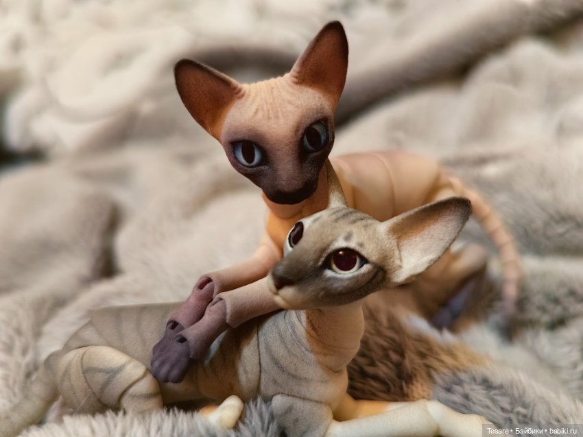 Любовь, кусь и котики — Домашние фото авторских кукол: личные коллекции