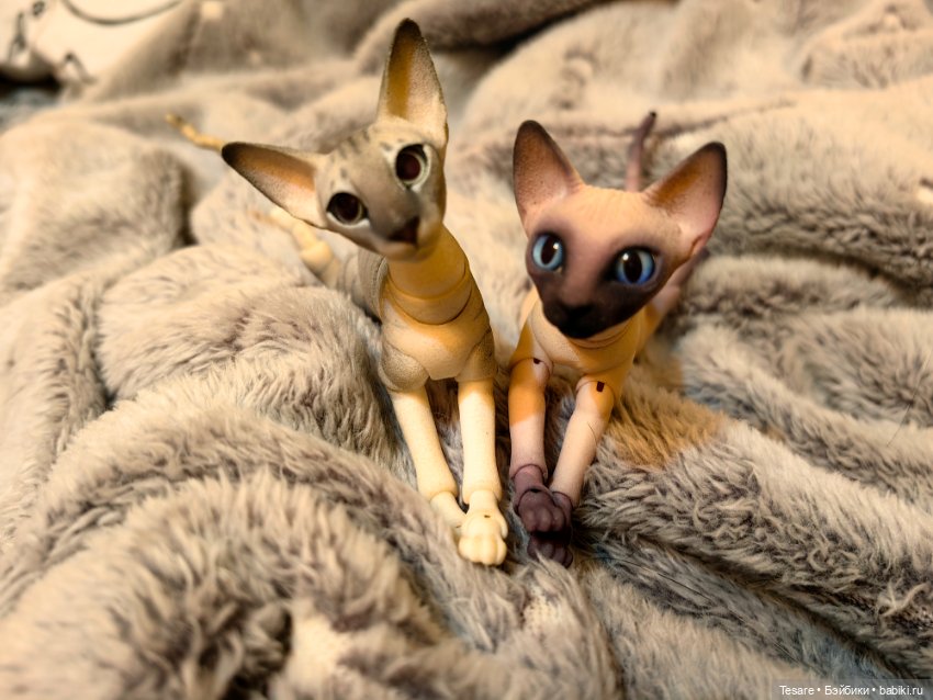 Любовь, кусь и котики — Домашние фото авторских кукол: личные коллекции