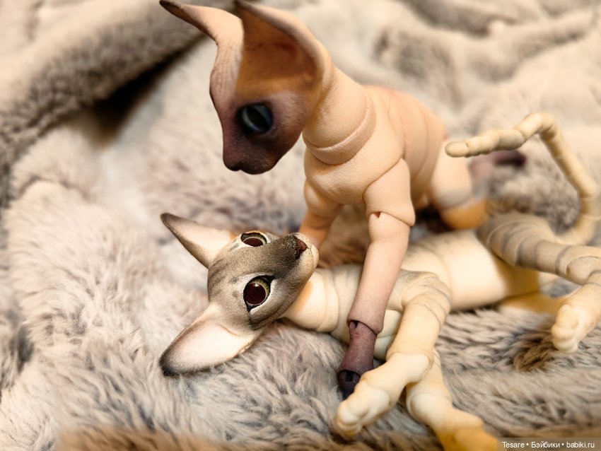 Любовь, кусь и котики — Домашние фото авторских кукол: личные коллекции (фото 4)