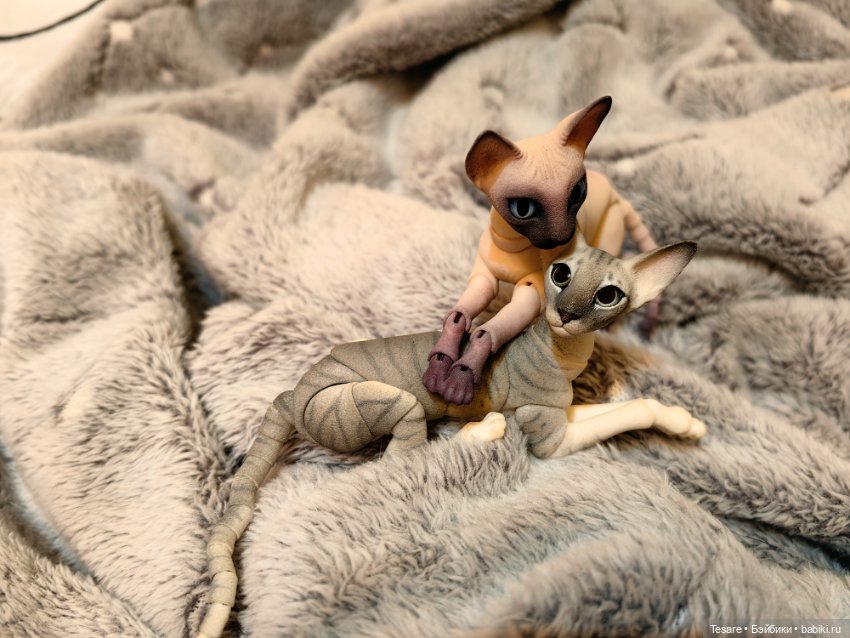 Любовь, кусь и котики — Домашние фото авторских кукол: личные коллекции